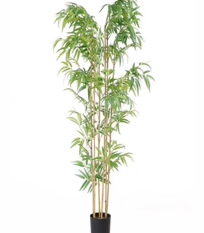 BAMBOO  NP5801_180_22_UV  ΥΨΟΣ 180cm NewPlan