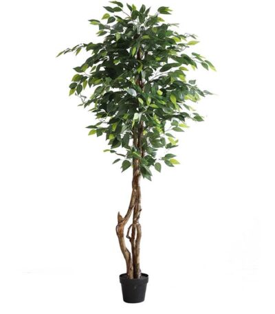 FICUS TREE NP5209_180 ΥΨΟΣ 180cm