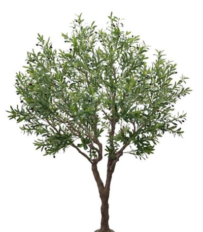OLIVE TREE NP496_240_UV ΥΨΟΣ 240cm_strati_fyta_thessaloniki