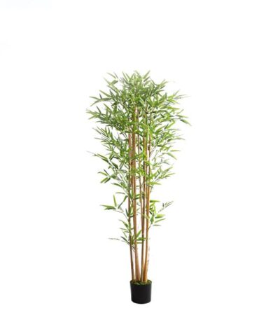 BAMBOO  NP0075_180 ΥΨΟΣ 180cm NewPlan