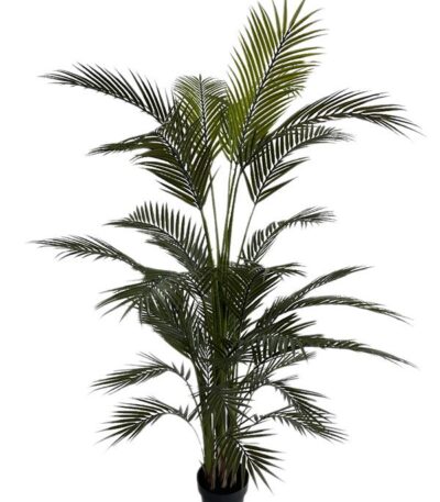 PALM TREE  NP160_210_UV  ΥΨΟΣ 210cm NewPlan