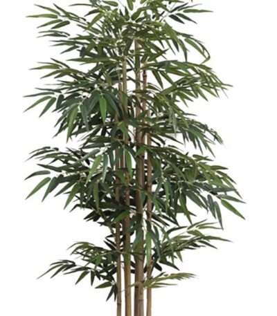 BAMBOO NP828_210_UV ΥΨΟΣ 210cm_strati_thessaloniki