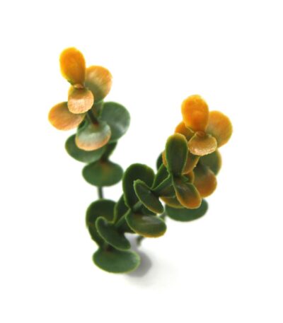 ΠΑΝΕΛ ΦΥΛΛΩΣΙΑΣ BERLIN 50 Χ 50 A012 BUXUS NewPlan