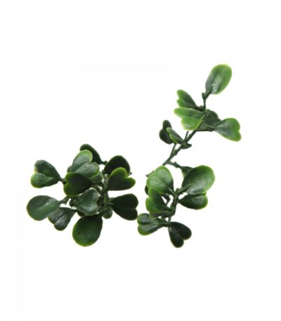 ΠΑΝΕΛ ΦΥΛΛΩΣΙΑΣ BERLIN 50 Χ 50 A146 BOXWOOD NewPlan