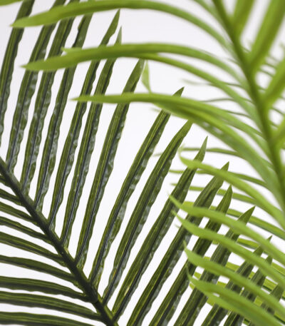 PALM TREE  NP0266_140 ΥΨΟΣ 140cm NewPlan