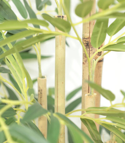 BAMBOO NP824_153 ΥΨΟΣ 153cm_ΣΤΡΑΤΗ