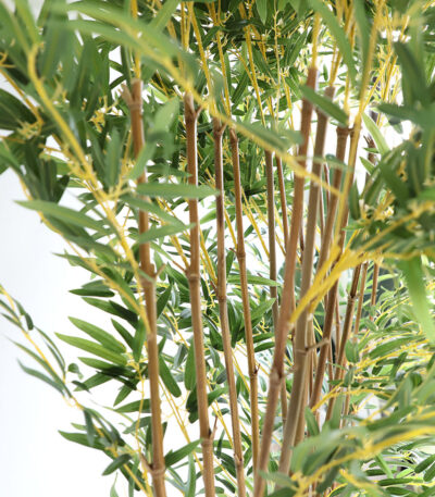 BAMBOO IN POT NP827_180_UV  ΥΨΟΣ 180cm NewPlan