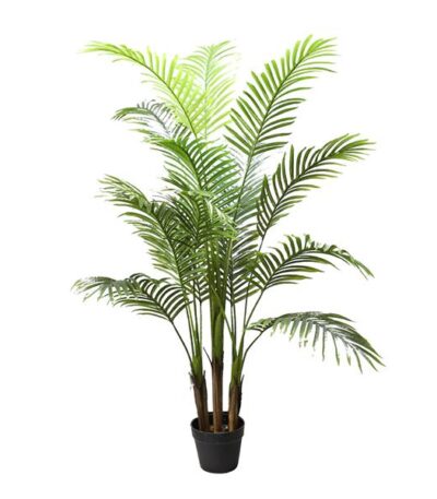 PALM TREE  NP5505_150_22  ΥΨΟΣ 150cm NewPlan