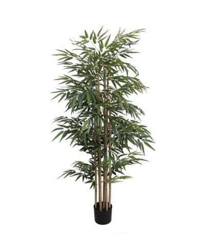 BAMBOO NP824_153 ΥΨΟΣ 153cm www.strati.gr_ΣΤΡΑΤΗ_ΣΟΥΡΩΤΗ_ΘΕΡΜΗ_ΘΕΣΣΑΛΟΝΙΚΗ_GREECE_2396042009