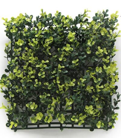 ΠΑΝΕΛ ΦΥΛΛΩΣΙΑΣ BERLIN 50 Χ 50 A003 BUXUS