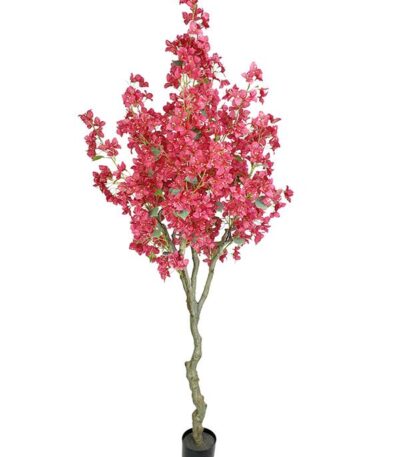 BOUGAINVILLEA  NP0421_210  ΥΨΟΣ 210cm NewPlan