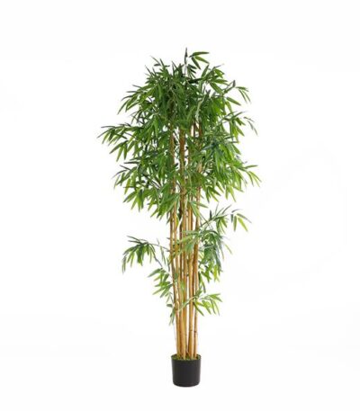 BAMBOO  NP0076_210 ΥΨΟΣ 210cm NewPlan