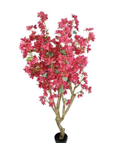 BOUGAINVILLEA NP0422_170 ΥΨΟΣ 170cm
