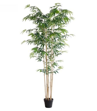 BAMBOO  NP0070_210 ΥΨΟΣ 210cm NewPlan