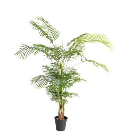 PALM TREE NP5502_180_22 ΥΨΟΣ 180cm