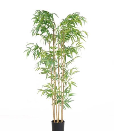 BAMBOO NP5801_150_22_UV ΥΨΟΣ 150cm
