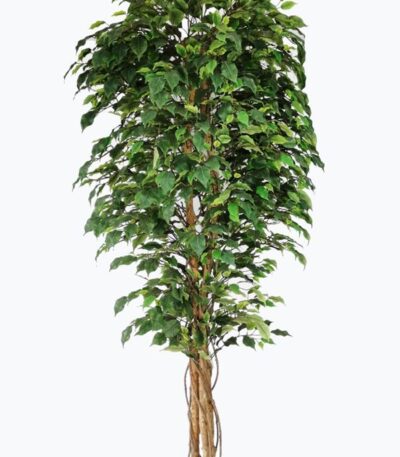 FICUS TREE NP230_210_UV  ΥΨΟΣ 210cm NewPlan