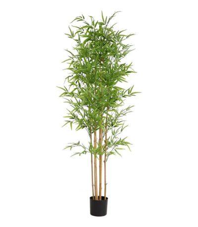 BAMBOO NP6321_180_22 ΥΨΟΣ 180cm